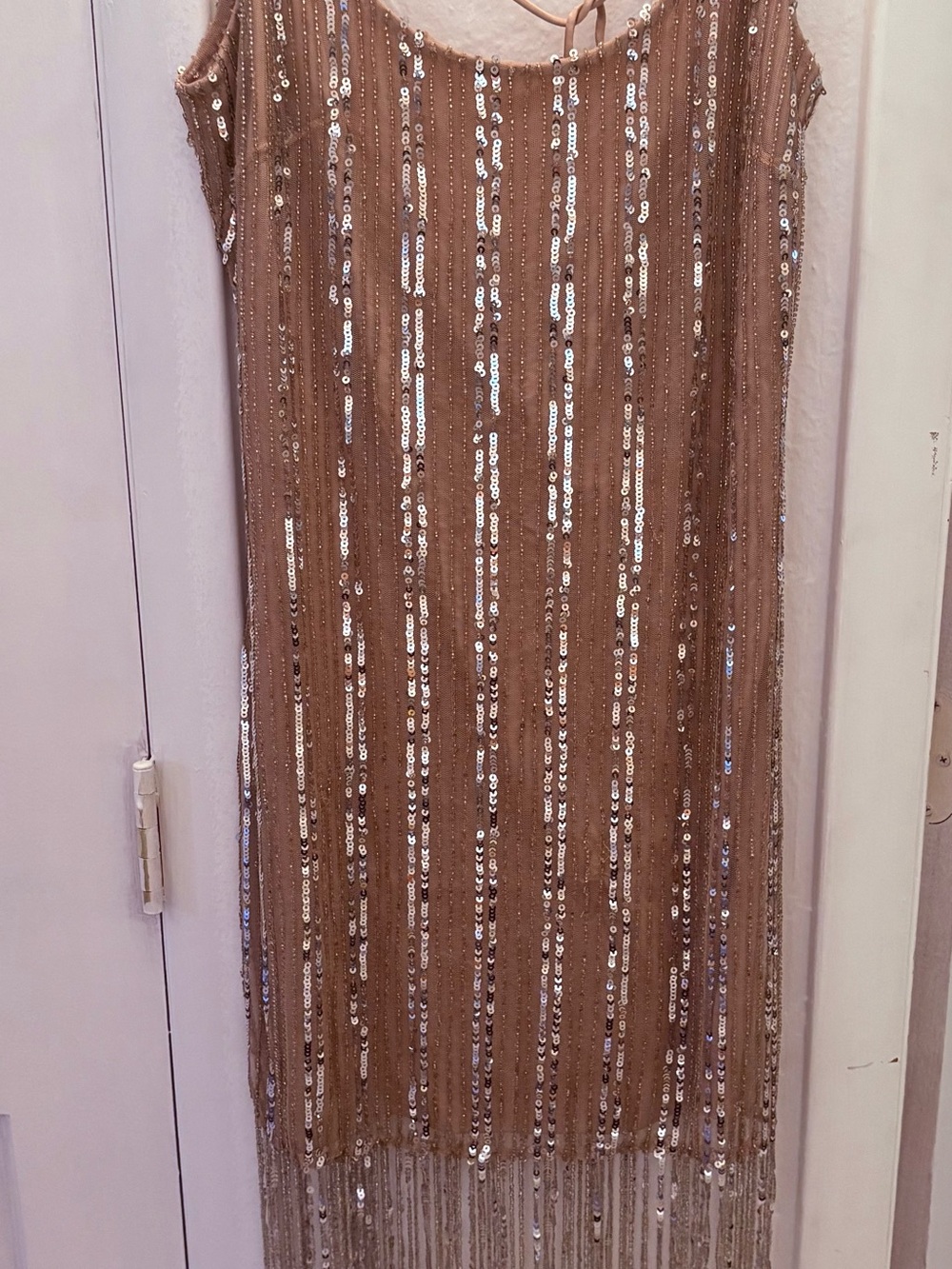 Anthropologie Taupe Sequin Fringe Midi Dress